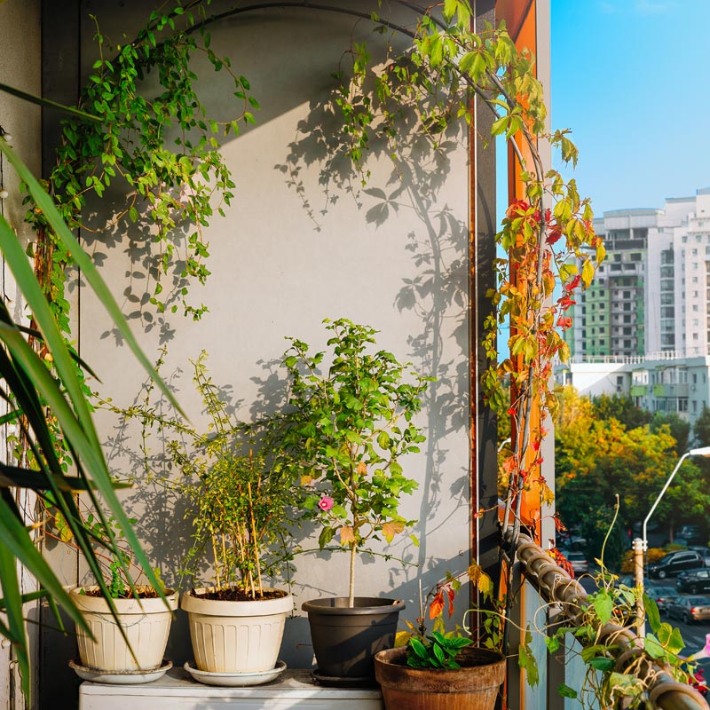 Mata na ogrodzenia - Osłona balkonowa
